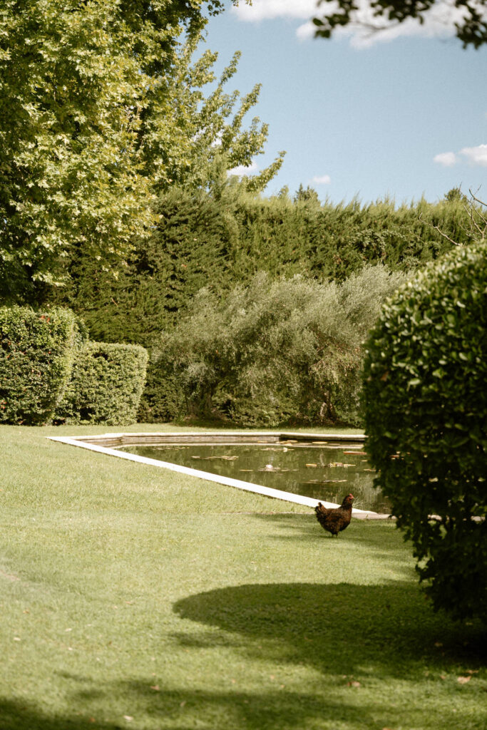 elegant-intimate-wedding-mas-chabran-provence00038 Elegant intimate wedding mas chabran provence00038