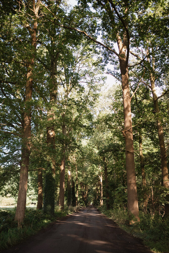 ROSE & ERIC Rose & eric