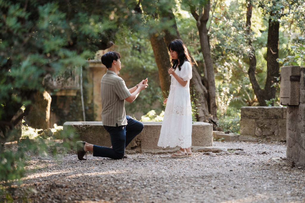 Vicky van proposal 004