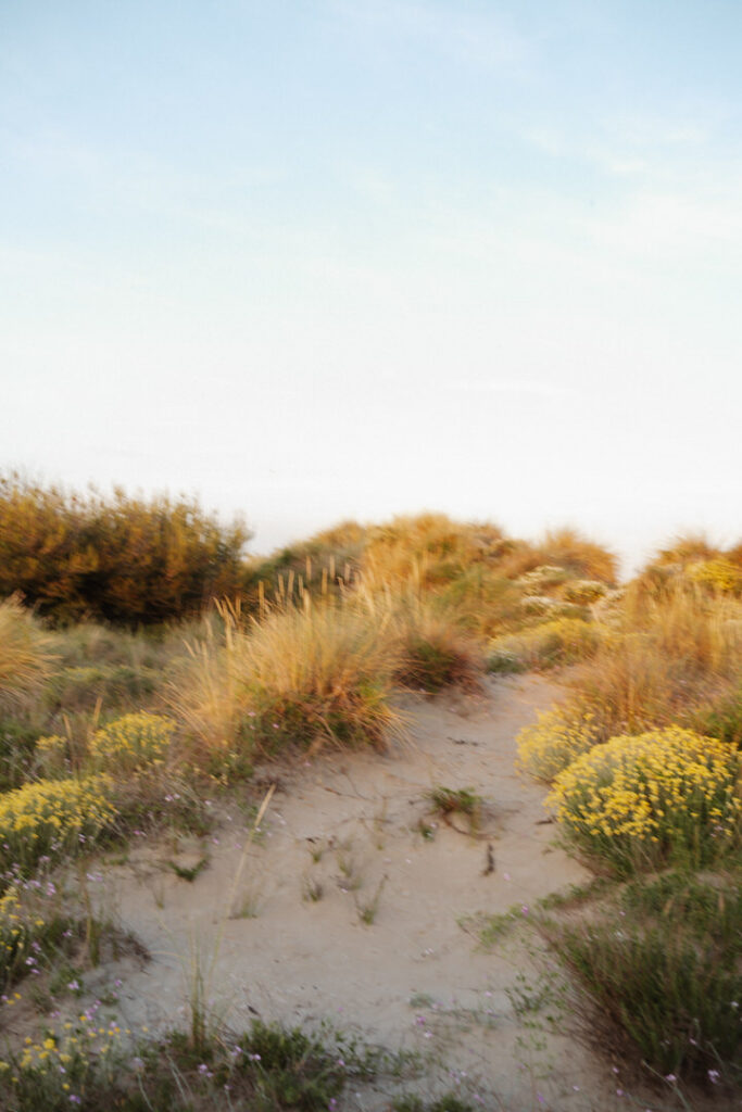 Vicky van proposal 044